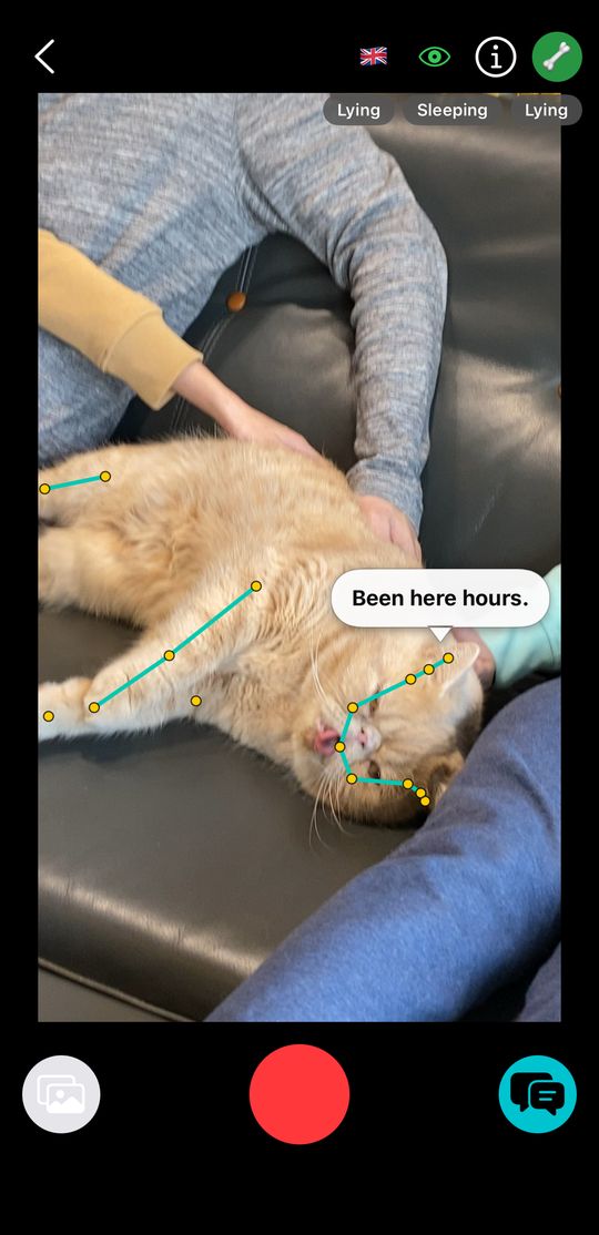 Pet Motion live camera: a ginger cat lying on a sofa, with tracked body points and the speech bubble “Been here hours.”