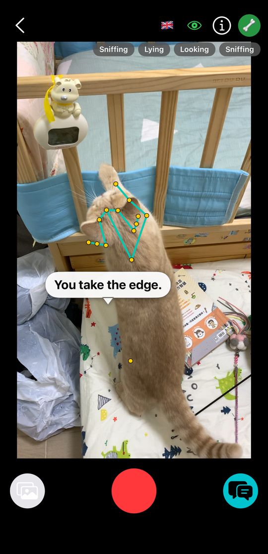 Pet Motion live camera: a cat climbing a cot, with tracked body points and the speech bubble “You take the edge.”